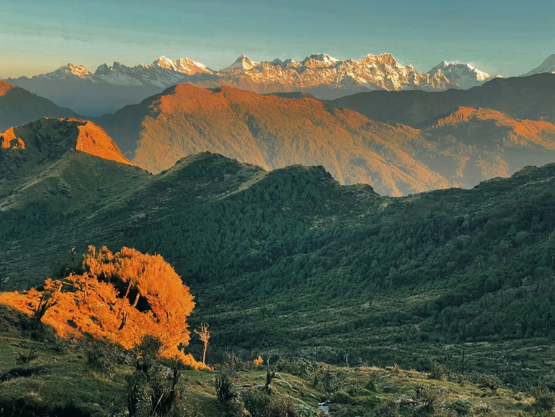 Nepal landscape